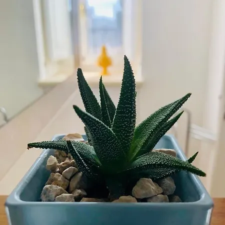 Romasi Bed & Breakfast